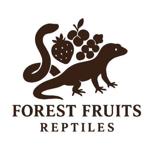 Forest Fruits Reptiles